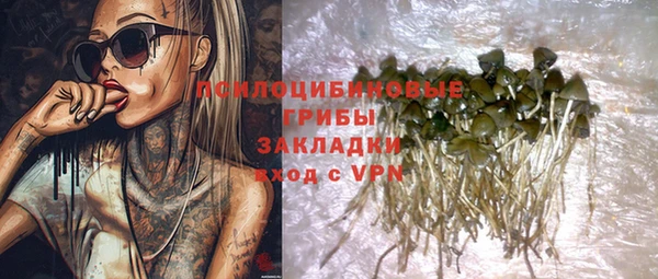 не бодяженный Алзамай