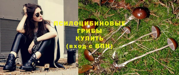 экстази Алексеевка